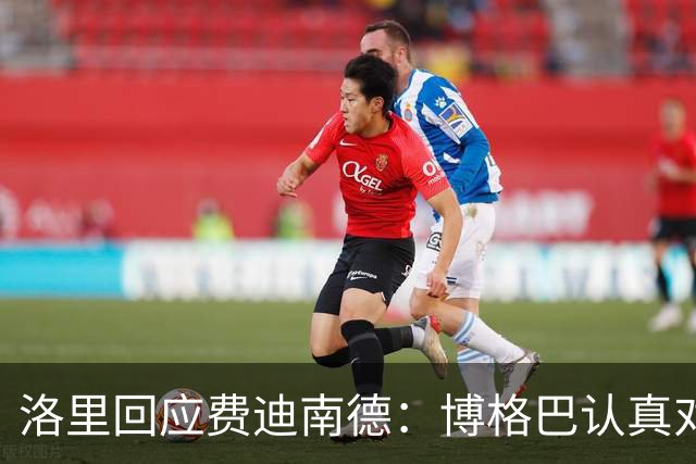 洛里回应费迪南德：博格巴认真对待足球，只是表达方式不一样